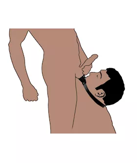 Balls To Mouth Gag