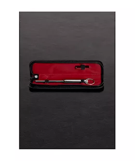 Urethral Vibrating Sound