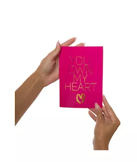 Naughty Notes Greeting Card You Own My Heart