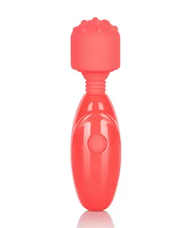 Rechargeable Massager Kit