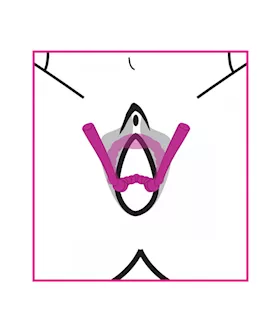 Petal Pusher Silicone Labia Spreader