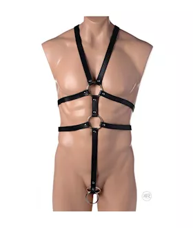 Male Full Body Harness