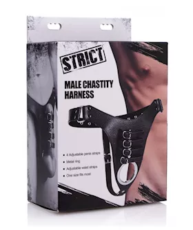 Male Chastity Harness