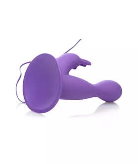 Tango Spin Dancing Rabbit Vibe