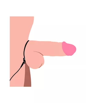 Jolted Cock & Ball Strap With Penis Stim