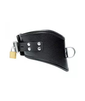 Leather Posture Collar With Leash