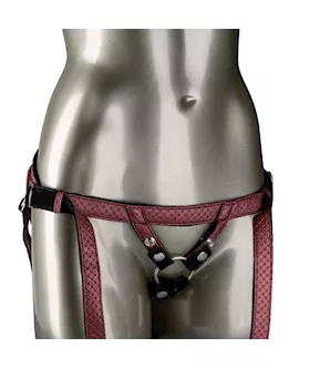 The Regal Duchess Premium Harness
