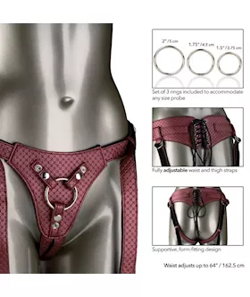 The Regal Queen Premium Harness