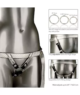 The Regal Duchess Premium Harness