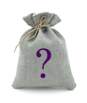 Mystery Bag  Jewelled Butt Plug