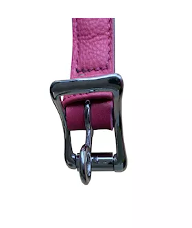 Bound X Leather Neck Collar With Ring Attachment