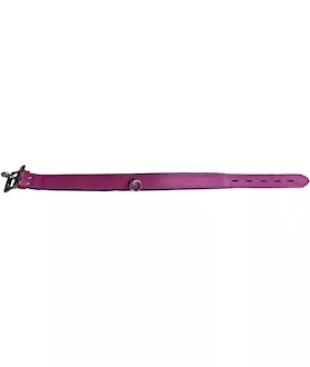 Bound X Leather Neck Collar With Ring Attachment