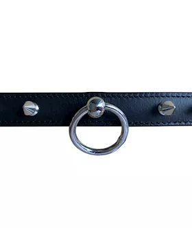 Spiked Leather Collar