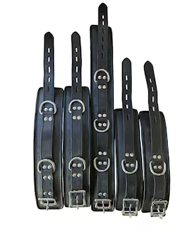 Bound X 5 Piece Heavy Duty Padded Leather Cuff And Collar Set