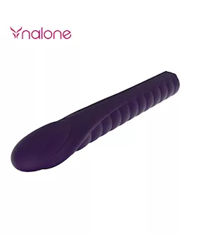 Dixie Vibrator