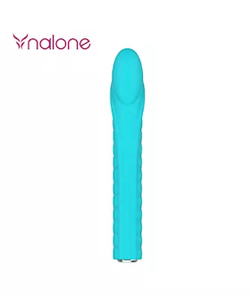 Dixie Vibrator
