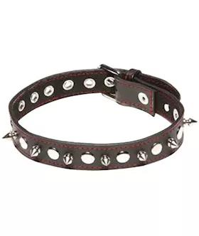 XPlay Spiked Collar