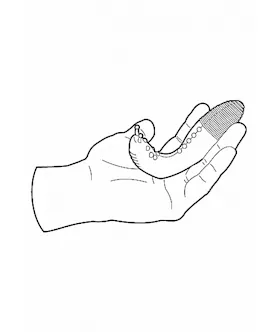 Vibrator Extension Set - Eliott 