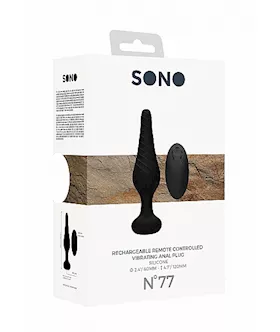 No. 77 - Remote Controlled Vibrating Anal