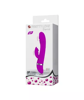 David The Rabbit Vibrator