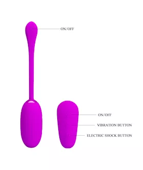 Shock Fun Remote Control Love Egg