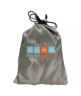 Padded Small Toy Storage Bag