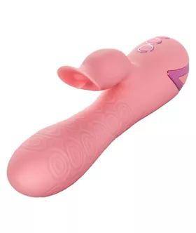 California Dreaming Pasadena Player