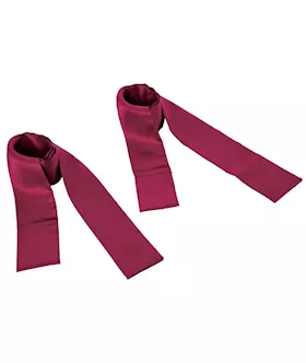 Enchanted Silky Sash Restraints