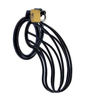 Kink Range Jail Chastity Cage