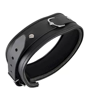 Leather Collar 