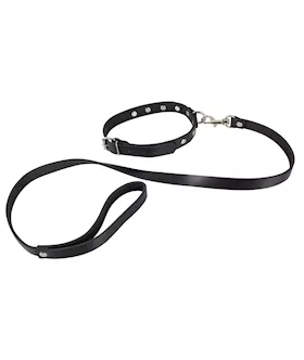 Leather Collar And Leash