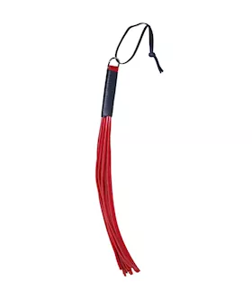 Zado Discipline Whip