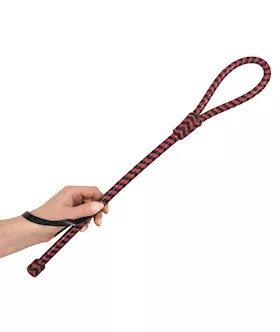 Leather Cane - 51cm