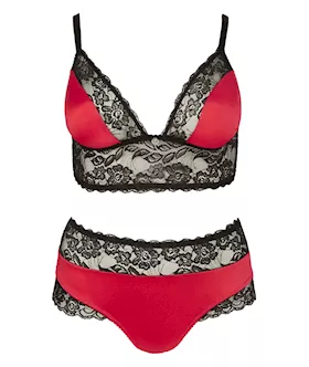 Floral Lace Trimmed Bra Set
