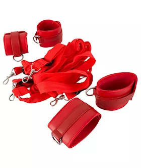 Bed Restraint Kit