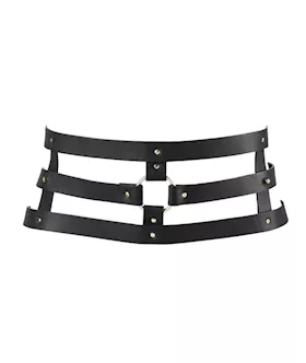 MAZE Wide Belt and Restraints