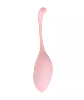 Remote Controlled Egg Vibrator