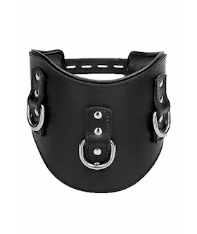 Heavy Duty Padded Posture Collar- Black