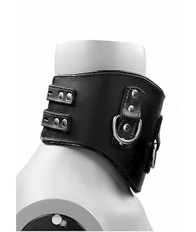 Heavy Duty Padded Posture Collar- Black
