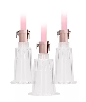 Clitoral And Nipple Pump Set