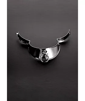 Locking Men's Collar With Ring 13.5 Inches