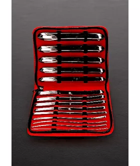 Hegar Sound Double End Dilator Set - 14 Pieces