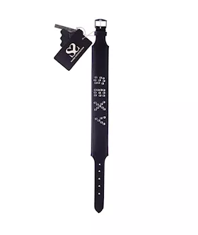 Bound X Sexy Studded Collar