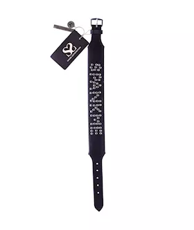 Bound X Spank Me Studded Collar 