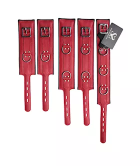 Bound X Ruby Leather Cuffs And Collar Set