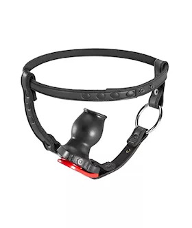 Hole Harness With Plug