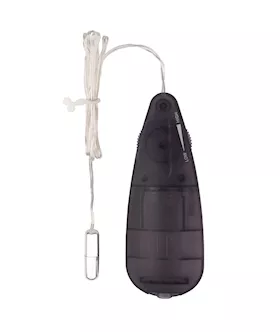Silver Mini Bullet