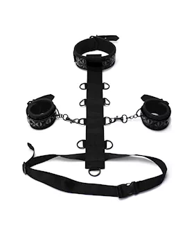 Diamond Collection Adjustable Body Harness Restraint 3 Pc Set