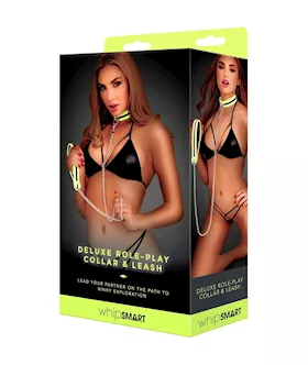 Glow In The Dark Collar And Leash