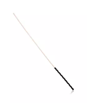Disciple Cane